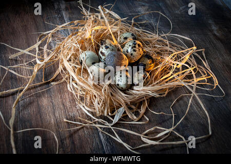 Fünf am Tag, gesunden Lebensstil Optionen. Frisch Wachtel Eier eingesammelt. Stockfoto