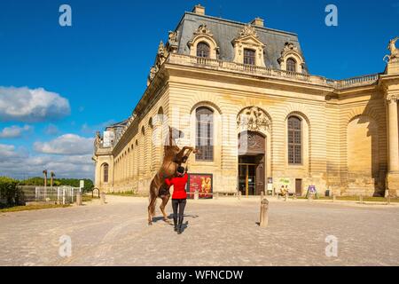 Frankreich, Oise, Chantilly, Chateau de Chantilly, der Grandes Ecuries (große Stallungen), vor dem Eingang Clara was sein Pferd Stockfoto