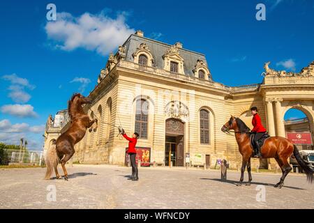 Frankreich, Oise, Chantilly, Chateau de Chantilly, der Grandes Ecuries (große Stallungen), vor dem Eingang Clara was sein Pferd Stockfoto