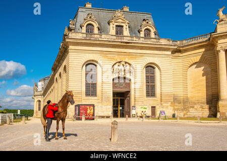 Frankreich, Oise, Chantilly, Chateau de Chantilly, der Grandes Ecuries (große Stallungen), vor dem Eingang Clara sein Pferd bereitet Stockfoto