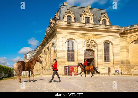 Frankreich, Oise, Chantilly, Chateau de Chantilly, der Grandes Ecuries (große Stallungen), vor dem Eingang Clara was sein Pferd Stockfoto