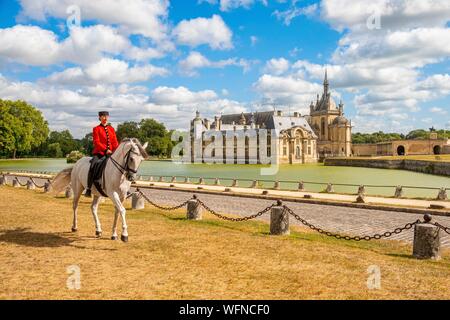 Frankreich, Oise, Chantilly, Chateau de Chantilly, der Grandes Ecuries (große Stallungen), Estelle, Reiter von Grandes Ecuries, führt sein Pferd in Spanisch Schritte vor dem Schloss Stockfoto