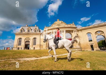 Frankreich, Oise, Chantilly, Chateau de Chantilly, der Grandes Ecuries (große Stallungen), Clara rider von Grandes Ecuries, führt sein Pferd an den Spanischen Schritt vor der Grandes Ecuries (große Stallungen) Stockfoto