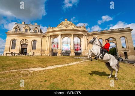 Frankreich, Oise, Chantilly, Chateau de Chantilly, der Grandes Ecuries (große Stallungen), Estelle, Reiter von Grandes Ecuries, macht hinten sein Pferd vor der Grandes Ecuries (große Stallungen) Stockfoto