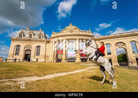 Frankreich, Oise, Chantilly, Chateau de Chantilly, der Grandes Ecuries (große Stallungen), Estelle, Reiter von Grandes Ecuries, macht hinten sein Pferd vor der Grandes Ecuries (große Stallungen) Stockfoto