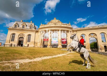 Frankreich, Oise, Chantilly, Chateau de Chantilly, der Grandes Ecuries (große Stallungen), Estelle, Reiter von Grandes Ecuries, macht hinten sein Pferd vor der Grandes Ecuries (große Stallungen) Stockfoto