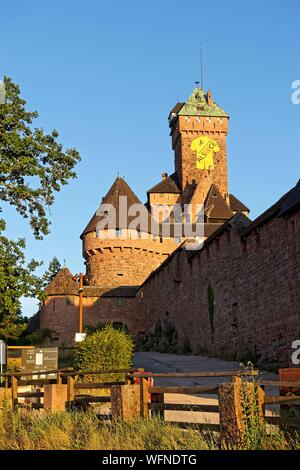 Frankreich, Bas Rhin, Alsace Wein Straße, Orschwiller, Haut Koenigsbourg Schloss am Fuße der Vogesen und mit Blick auf die Ebene des Elsass, mittelalterliche Burg des 12. Jahrhunderts, es als historisches Monument klassifiziert ist. Stockfoto