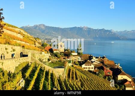 Schweiz, Kanton Waadt, Lavaux Weinbergterrassen als Weltkulturerbe der UNESCO aufgeführt, es erstreckt sich von Montreux nach Lausanne auf 32km entlang des Genfer Sees und 850ha, das Dorf von Saint-Saphorin Stockfoto