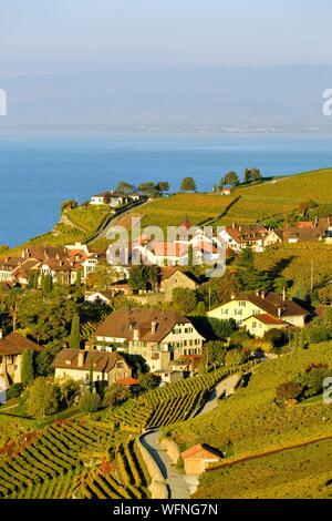 Schweiz, Kanton Waadt, Lavaux, Weinberg-Terrassen als Weltkulturerbe von der UNESCO, es erstreckt sich von Montreux nach Lausanne auf 32 km entlang dem Genfer See und 850 ha, das Dorf Puidoux Stockfoto