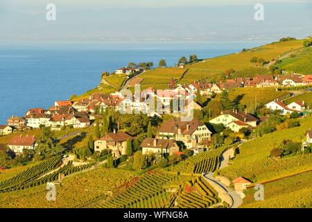 Schweiz, Kanton Waadt, Lavaux, Weinberg-Terrassen als Weltkulturerbe von der UNESCO, es erstreckt sich von Montreux nach Lausanne auf 32 km entlang dem Genfer See und 850 ha, das Dorf Puidoux Stockfoto