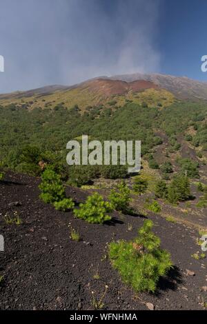 Italien, Sizilien, Ätna Regionaler Naturpark, den Ätna, UNESCO-Weltkulturerbe, Nordhang, mountet Sartorius Stockfoto