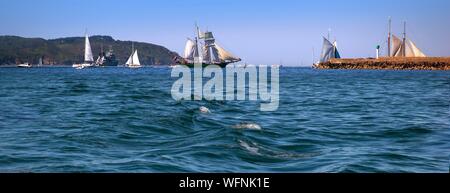 Frankreich, Finistere, Brest, AVATAR - Niederlande - International Maritime Festival Brest 2016 Stockfoto