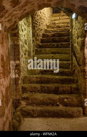 Frankreich, Yvelines, Haute Vallée de Chevreuse natural Regional Park, Chevreuse, Château de la Madeleine, Keller Stockfoto