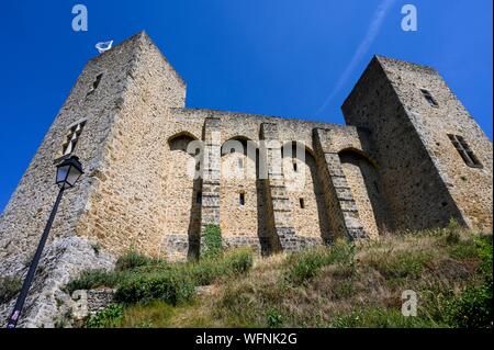 Frankreich, Yvelines, Haute Vallée de Chevreuse natural Regional Park, Chevreuse, Château de la Madeleine, Zinnen Stockfoto