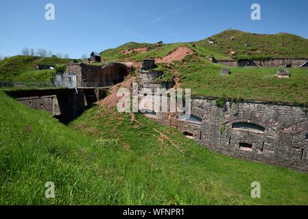 Frankreich, Territoire de Belfort, Giromagny, Fort Dorsner 1875 erbaute befestigte system Sere de Rivieres, Wartung durch die Ziegen Stockfoto