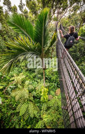 Frankreich, Karibik, Kleine Antillen, Guadeloupe, Basse-Terre, Ax-les-Thermes, Parc des Mamelles (Guadeloupe Zoo), Vordach Trek Stockfoto