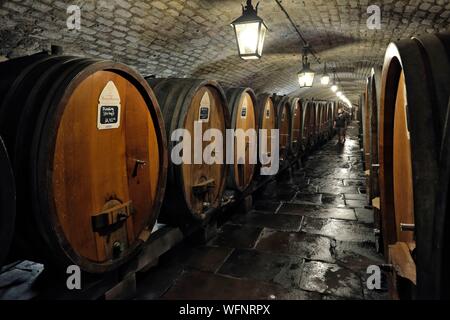 Frankreich, Bas Rhin, Straßburg, Place de l'Hopital, historische Höhle der Hospices de Strasbourg, die Galerie der Donner Stockfoto
