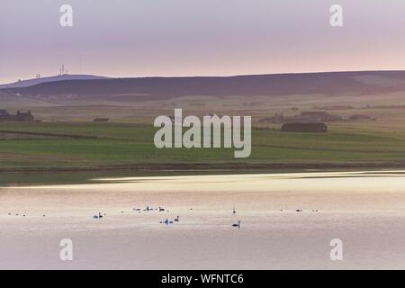 Vereinigtes Königreich, Schottland, Orkney Inseln, Festland, Sonnenaufgang über Loch Harray aus dem Ring von Brodgar, Herz der neolithischen Orkney, aufgeführt von der UNESCO zum Weltkulturerbe Stockfoto