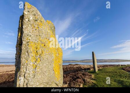 Vereinigtes Königreich, Schottland, Orkney Inseln, Festland, Ring von Brodgar, Herz der neolithischen Orkney, aufgeführt von der UNESCO zum Weltkulturerbe Stockfoto