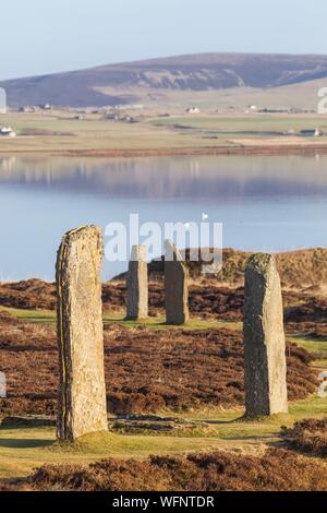 Vereinigtes Königreich, Schottland, Orkney Inseln, Festland, Ring von Brodgar, Herz der neolithischen Orkney, aufgeführt von der UNESCO zum Weltkulturerbe Stockfoto