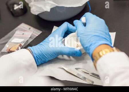 Frankreich, Eure, Grand Bourgtheroulde, ökologischen Labor, Aufbereitung von Schüttgütern Proben, um diese Position auf einer Übertragung Elektronenmikroskopie Raster, schleifen Stufe Stockfoto