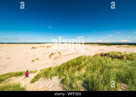 Dänemark, Nordjütland, Råbjerg Mile ist eine mobile Dünen an der Küste zwischen Skagen und Frederikshavn gelegen, ist es der größte mobile Dune im Norden Europas mit einer Fläche von 1 km2 bei einer maximalen Höhe von 40 m, die Düne nach wie vor ost-nordöstlich in Richtung Kattegat mit einer Rate von mehr als 15 m ein Jahr zu migrieren Stockfoto