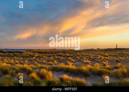 Dänemark, Nordjütland, die Spitze von Grenen ist ein Streifen Land im Norden von Dänemark entfernt, in der Nähe von Skagen, Es ist der Treffpunkt von zwei Meerengen, Skagerrak und Kattegat, hier bei Sonnenuntergang Stockfoto