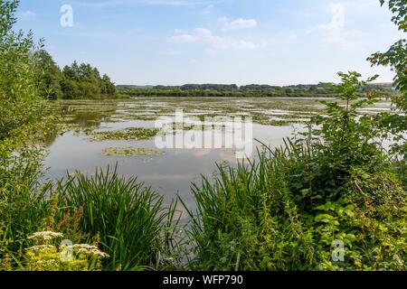 Frankreich, Somme, Tal der Somme, Lange, die Ufer der Somme entlang des Flusses Stockfoto