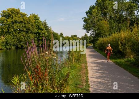 Frankreich, Somme, Tal der Somme, Lange, die Ufer der Somme entlang des Flusses Stockfoto