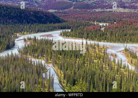 Kanada, Alberta, Kanadischen Rocky Mountains aufgeführt als UNESCO-Weltkulturerbe, Jasper National Park, der Athabasca River in der Nähe der Stadt Jasper Stockfoto