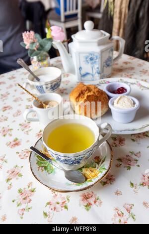 Irland, Fingal County, im Norden Dublins Vorstädten, Howth, den Hafen, das teehaus Der Waggy Schwanz, Kaffee Service mit Scone Stockfoto