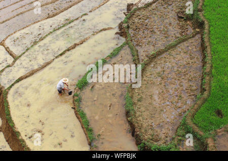Blick über Sapa Landschaft mit Reisfeldern und Häuser. pflanzen Reis pflanzen in Terrasse Reisfeld in Vietnam. Vietnamesische Landwirtschaft und Reis Produkt Stockfoto