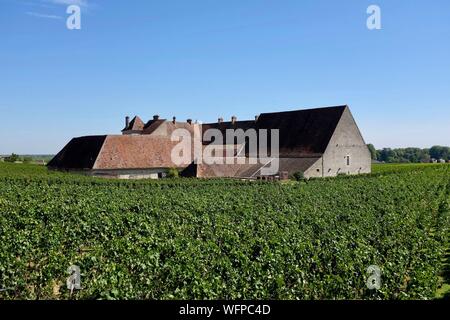 Frankreich, Cote d'Or, Vougeot, kulturellen Landschaft des Burgund Klimas als Weltkulturerbe von der UNESCO, Cote de Nuits, Clos Vougoet Schloss und die Weinberge Stockfoto