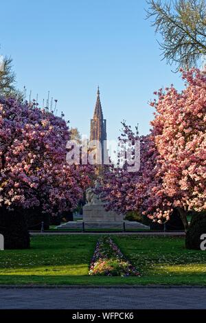 Frankreich, Bas Rhin, Straßburg, Neustadt aus dem deutschen Zeitraum als Weltkulturerbe von der UNESCO, Place de la Republique, Magnolie in voller Blüte, Krieg, Denkmal, eine Mutter hält Ihr zwei sterben Kinder, schaut man über Frankreich und der andere schaut über Deutschland und der Kathedrale Notre Dame im Hintergrund Stockfoto