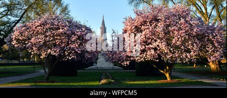 Frankreich, Bas Rhin, Straßburg, Neustadt aus dem deutschen Zeitraum als Weltkulturerbe von der UNESCO, Place de la Republique, Magnolie in voller Blüte, Krieg, Denkmal, eine Mutter hält Ihr zwei sterben Kinder, schaut man über Frankreich und der andere schaut über Deutschland und der Kathedrale Notre Dame im Hintergrund Stockfoto