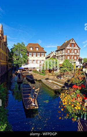 Frankreich, Haut Rhin, Alsace Weinstraße, Colmar, La Petite Venise Viertel, traditionellen Fachwerkhäusern Stockfoto