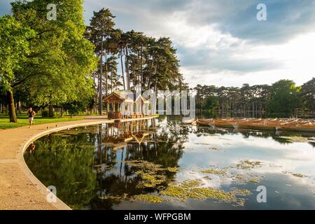 Frankreich, Paris, Bois de Boulogne, Lake Superior Stockfoto