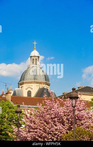 Frankreich, Paris, Viertel Saint Germain des Pres, kirschblüten vor dem Institut de France Stockfoto