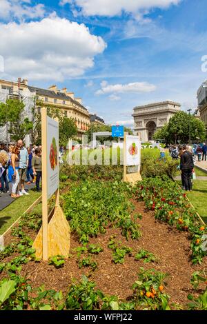 Frankreich, Paris, die völlig Fußgänger avenue Foch, BiodiversiTerre Projekt, einer 10.000 m² großen Anlage Artwork von artist Gad Weil vom 3. bis 5. Juni 2017 Stockfoto