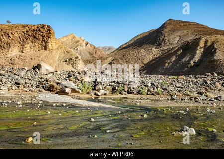 Äthiopien, Ferne regionalen staatlichen, Wadi Saba Stockfoto