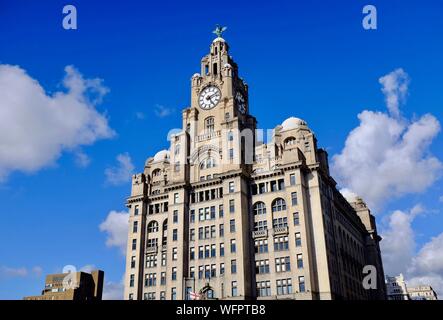 Vereinigtes Königreich, Liverpool, Albert Dock, als Weltkulturerbe von der UNESCO, Rathaus Stockfoto