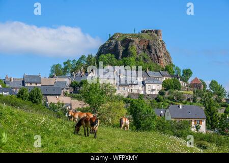 Frankreich, Cantal, Regionalen Naturpark der Vulkane der Auvergne, Monts du Cantal (Cantal Mounts), Vallee de Cheylade (cheylade Tal), Apchon, das Dorf und die Burgruine befindet sich auf der Spitze eines basaltischen Deich Stockfoto