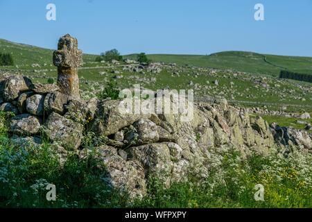 Frankreich, Lozère, Aubrac Regionaler Naturpark, Landschaft in der Nähe von Marchastel Stockfoto