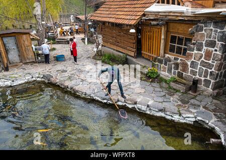 Armenien, Shirak region, Gyumri, Cherkezi Dzor Fisch Restaurant Stockfoto