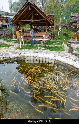 Armenien, Shirak region, Gyumri, Cherkezi Dzor Fisch Restaurant Stockfoto