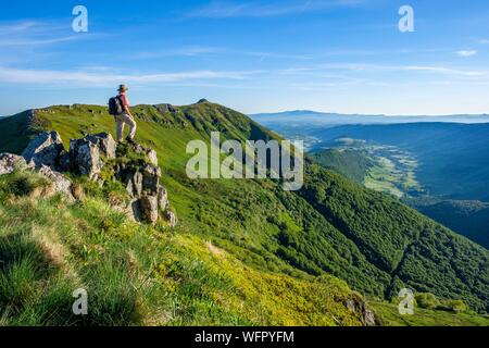 Frankreich, Cantal, Regionalen Naturpark der Vulkane der Auvergne, Monts du Cantal, Haute-Loire mounts, Wanderer auf den Pisten von Puy Mary, im Hintergrund der Sancy Massif Stockfoto