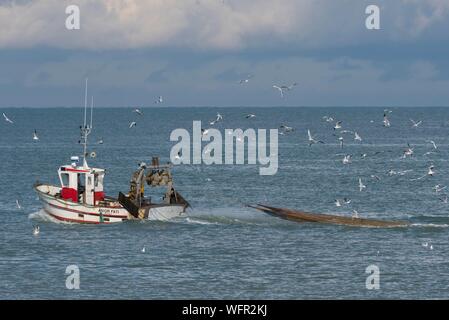 Frankreich, Somme, Baie de Somme, Le Cayeux-sur-Mer, Trawler in der Baie de Somme in der Nähe des Hafens von Le Cayeux-sur-Mer Stockfoto