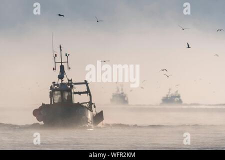 Frankreich, Somme, Baie de Somme, Le Cayeux-sur-Mer, Trawler in der Baie de Somme in der Nähe des Hafens von Le Cayeux-sur-Mer Stockfoto