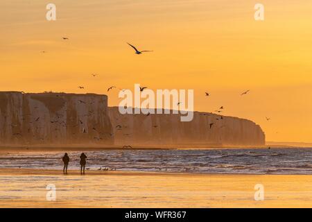 Frankreich, Somme, Ault, Sonnenuntergang auf den Klippen vom Strand von Ault, Wanderer und Fotografen kommen die Landschaft und Seevögeln zu bewundern. Stockfoto