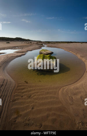 Grünen Felsen in einem Pool am Strand bei Ebbe, Northumberland, Großbritannien Stockfoto